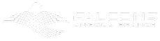 Falcons Angola